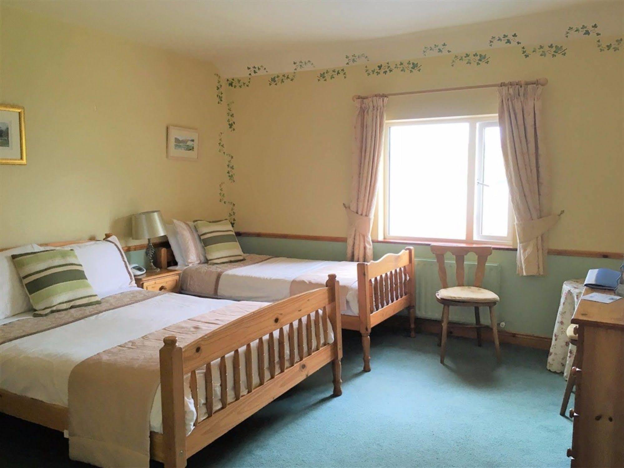 O'Connor'S Guest House Dingle Kültér fotó