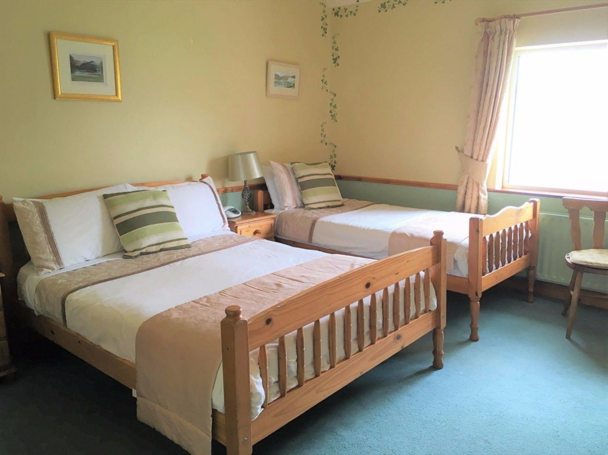 O'Connor'S Guest House Dingle Kültér fotó