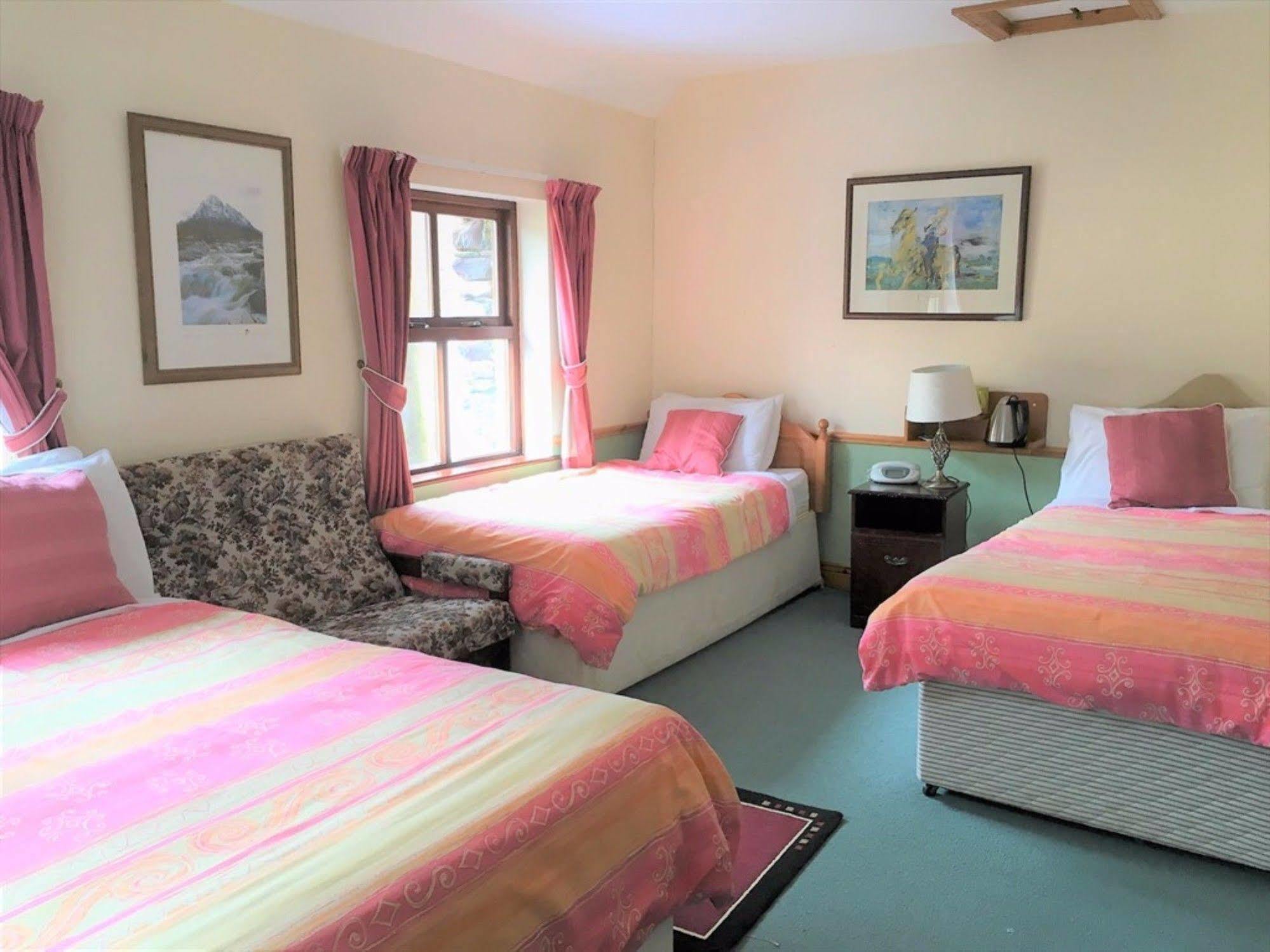 O'Connor'S Guest House Dingle Kültér fotó